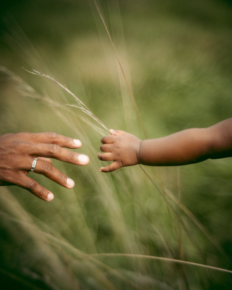 Everything I Know I Leave Here by Corey Anthony