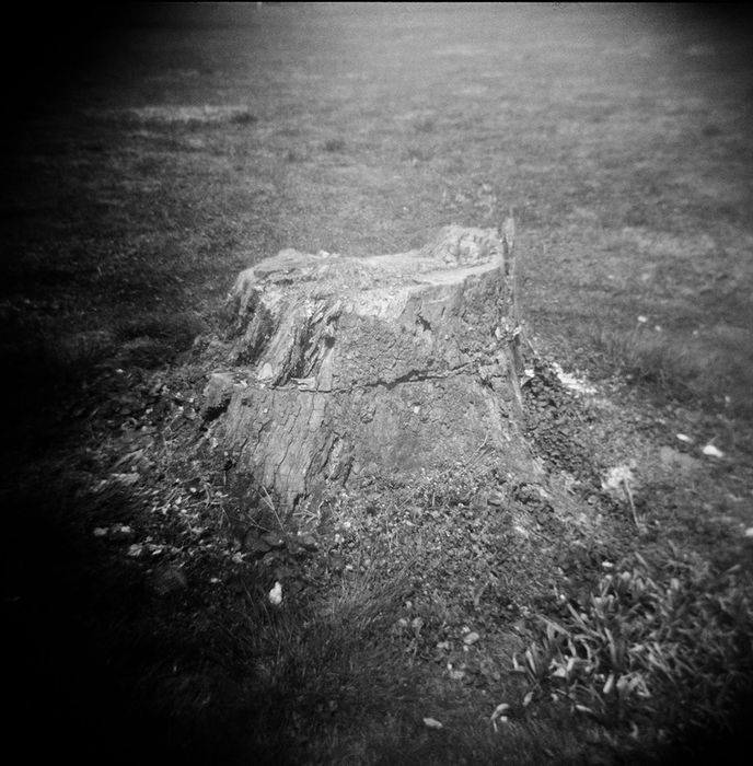 Alix Deane - Stump