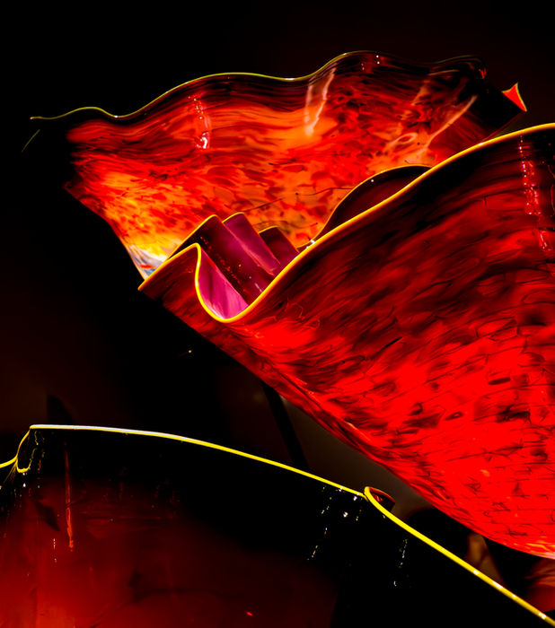 Fern Nesson (Cambridge, MA) - The Fire This Time 3