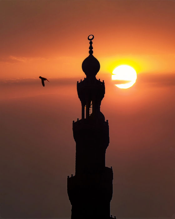 Eslam Yasser (Egypt) - SET ME FREE