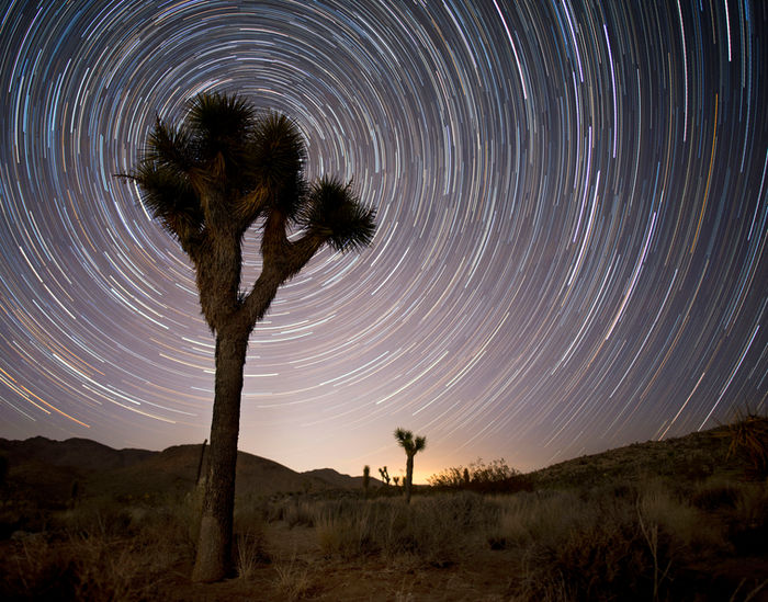 Hot Desert Nights - Wendy Beeghley