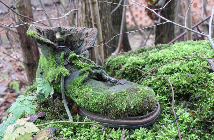 Zuzana Pálešová - Shoe