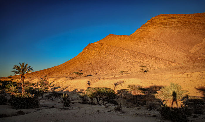 Sahara