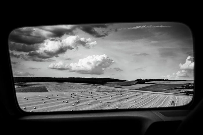 Landscapes