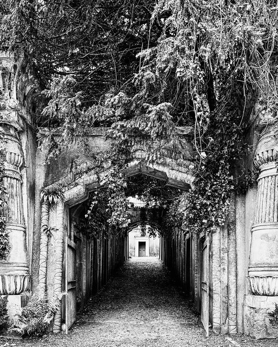 Janna Carter (Burlington, IA) - Egyptian Avenue