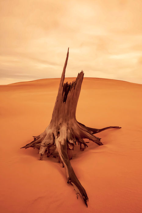 Will Shotwell - Dune