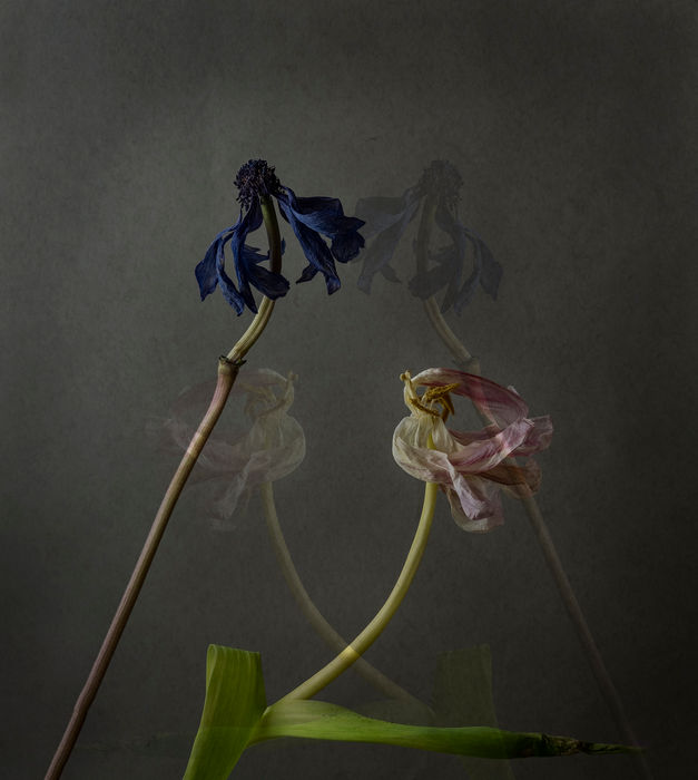 Yukiko Okuma (New York, NY) - Grace in Letting Go