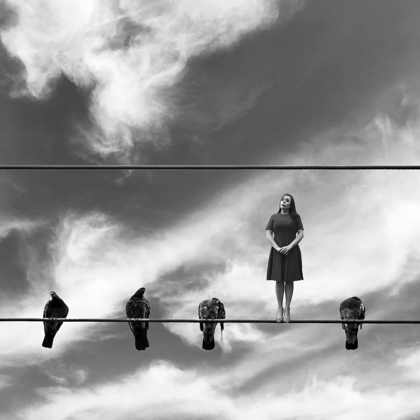 Comment le font les oiseaux by Ileana Montano