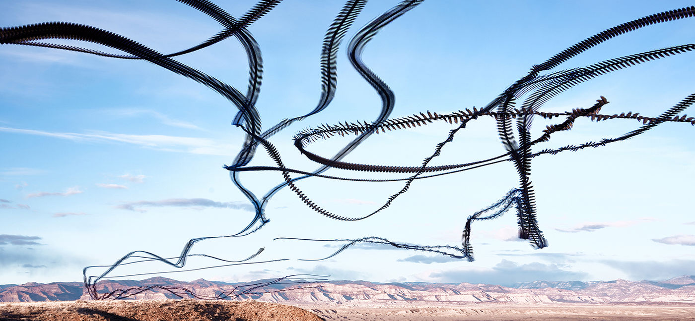 Ravens: Desert Flow by Robb Reece