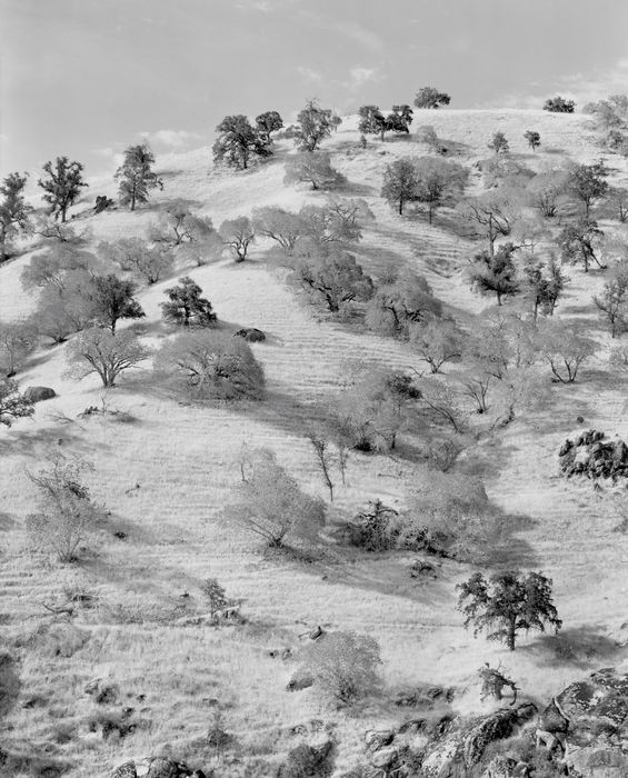 Environmental Challenges & Paradises