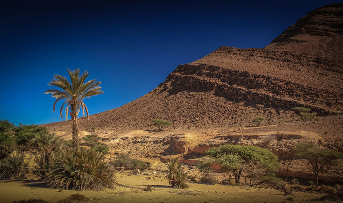 Sahara