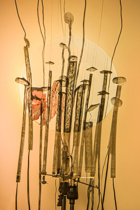 Eleftheria Karasmanoglou (Greece) - Wires
