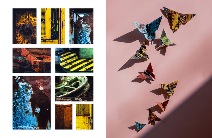 Natalie Rozvezeva - Rust Butterflies