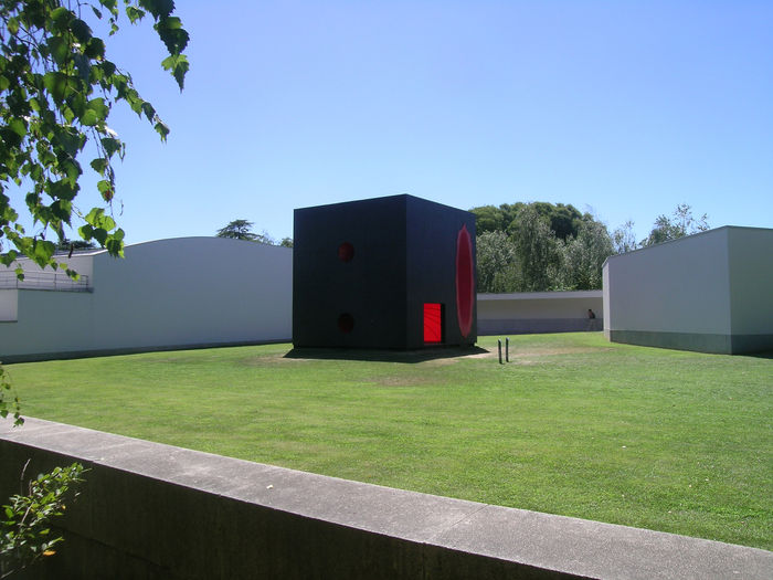 Ovidiu Petca - The Fascination of Anish Kapoor