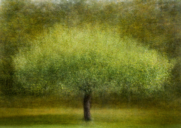 Dreamscapes