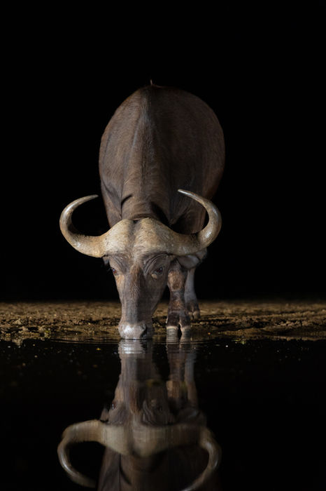 Beyond the Mirror
