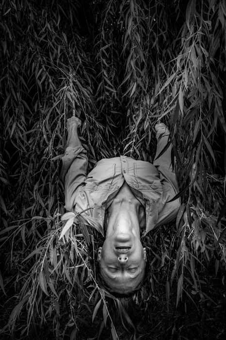 Andrea Gluckman (United States) - Bending Willow