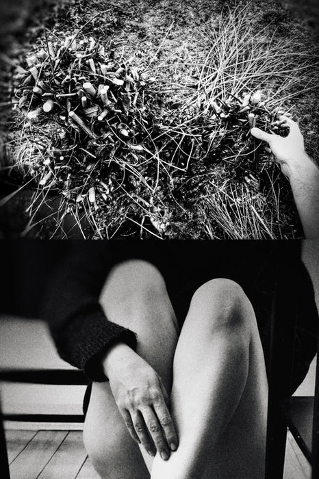 František Bína & Eloisa Alcaraz (Czech Republic & Mexico) - untitled 6