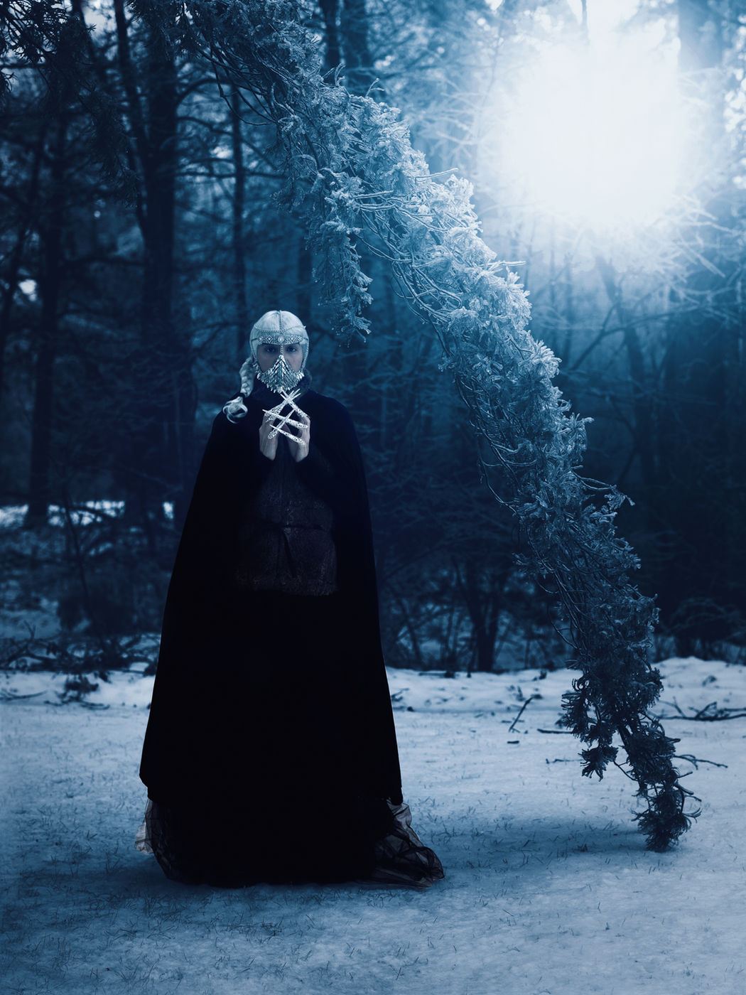 The Ice Queen by Sarah Rocca