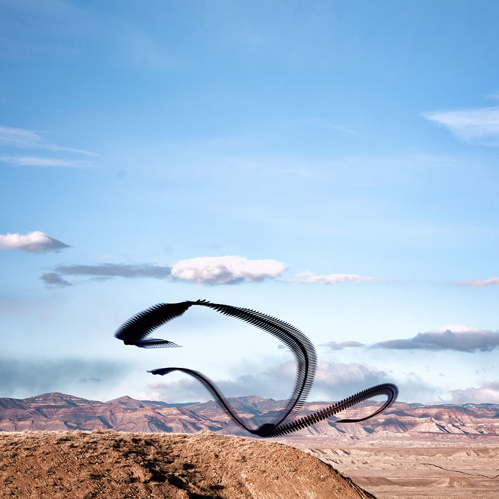 Sculpture of Flight by Robb Reece