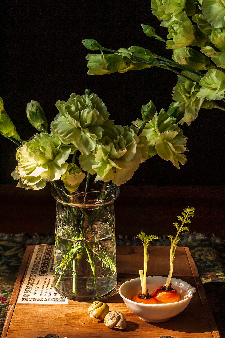Green Carnations by Andrea Zinn
