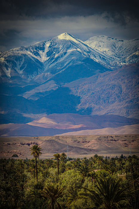 Sahara