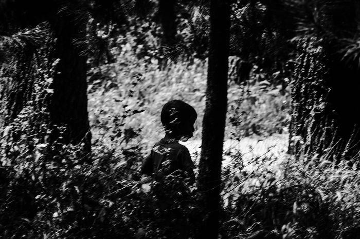 Efi Laskari - Into the woods