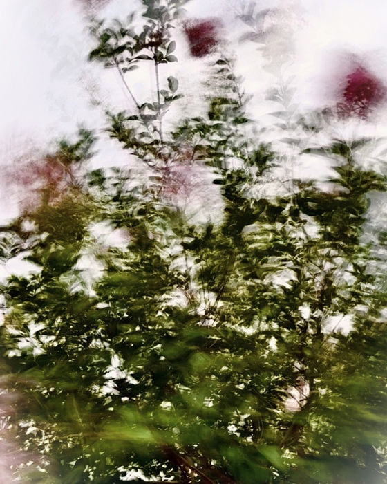 Motion