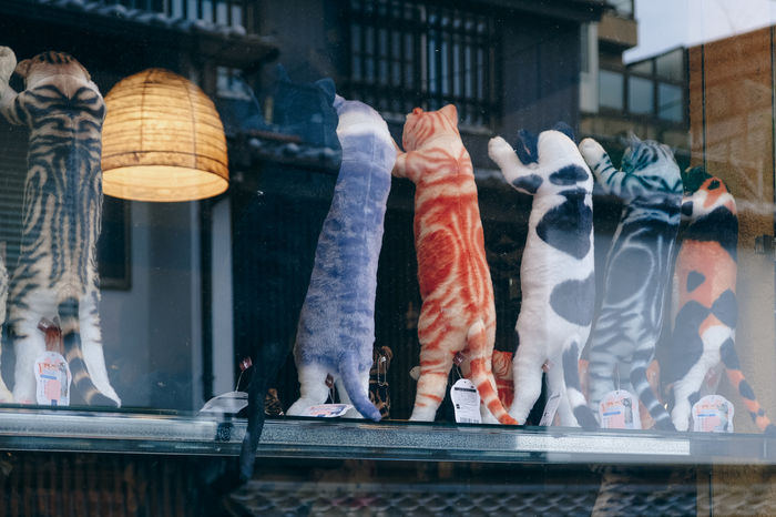 Rocky Gonzales - Cat In The Window