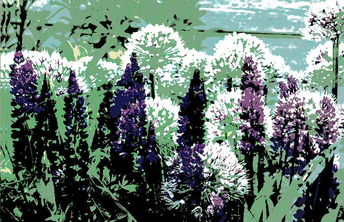 Botanicals