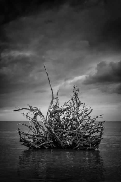 Kelly O'Leary - CASTAWAY