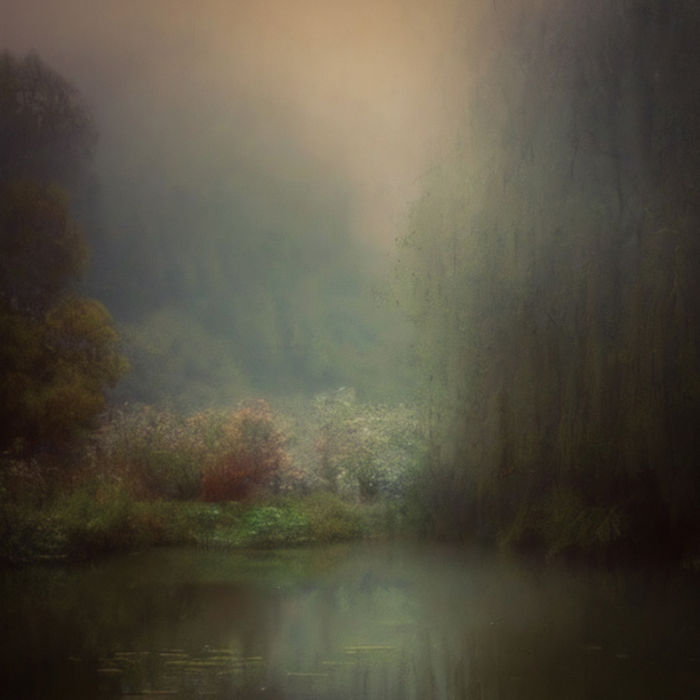 Alyson J Barton - The Pond (After Monet)