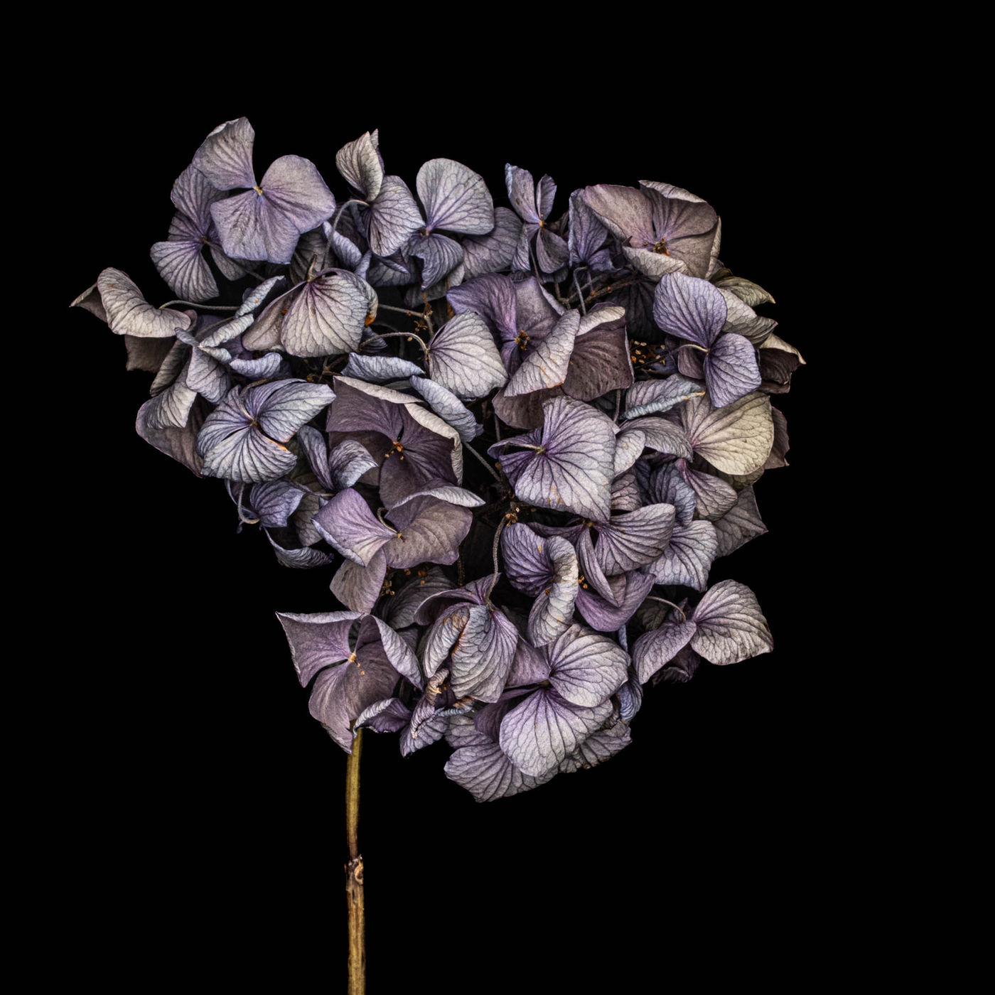 Upright by Alys Walker-Tinson