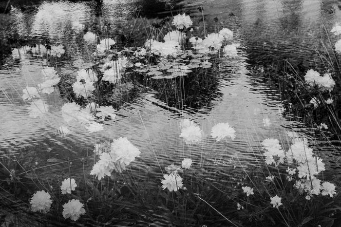 Paulo Monteiro - Untitled #2 from the series 2X1=1