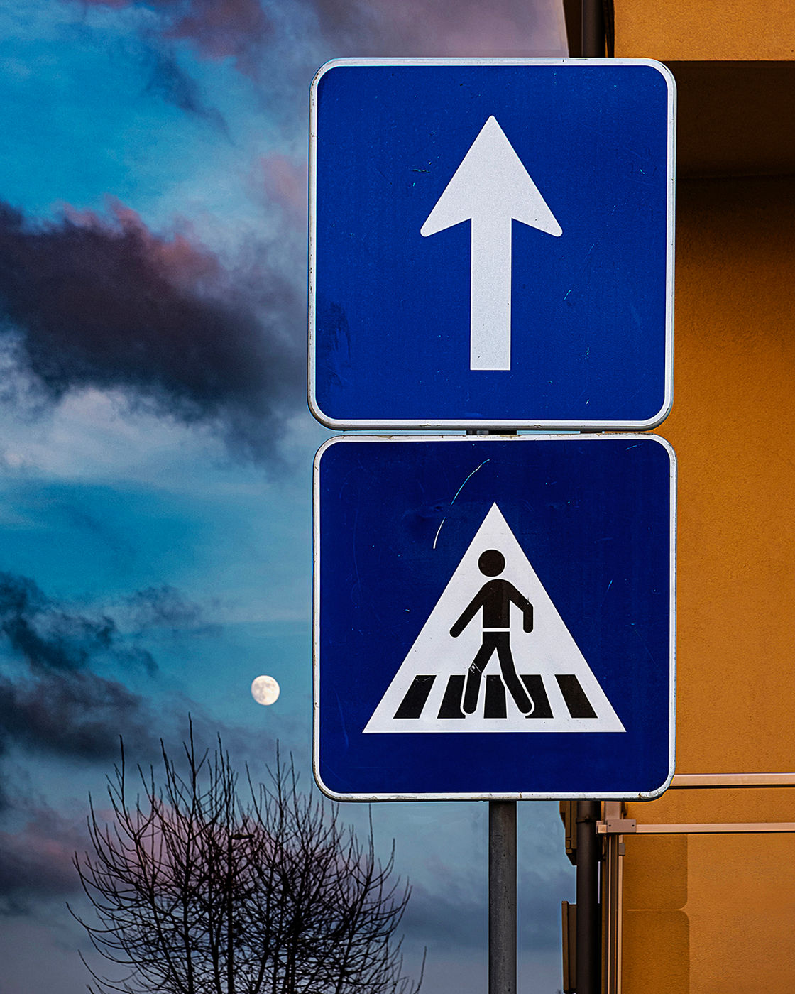 Walking To The Moon by Jorge Ferreira