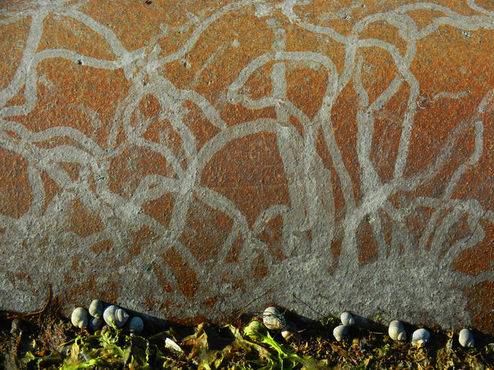 Roger Archibald (Quincy, MA) - Periwinkle Paths