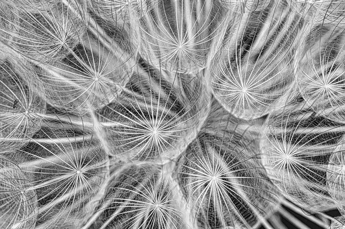 Flash #19 - Macro