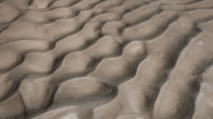 Zuzana Pálešová (Bratislava, Slovakia) - Mud