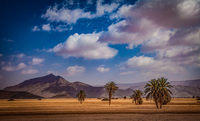 Sahara