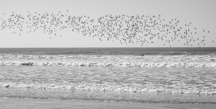 Photograph by Andy Charnas, 14 of 18