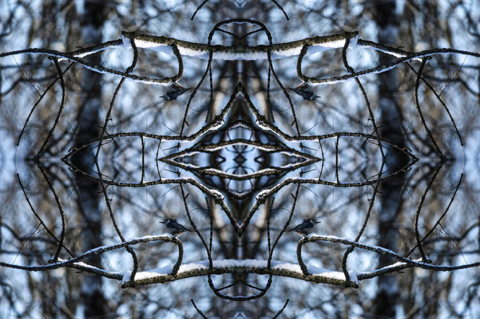 Beyond the Mirror