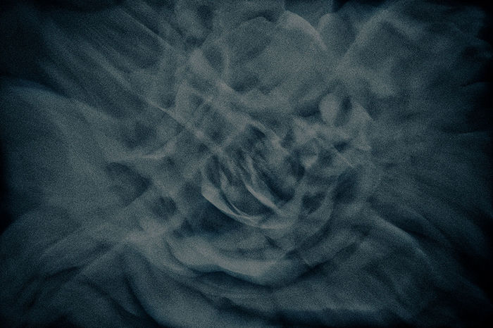 Yulia Kapustynska - Angels rose