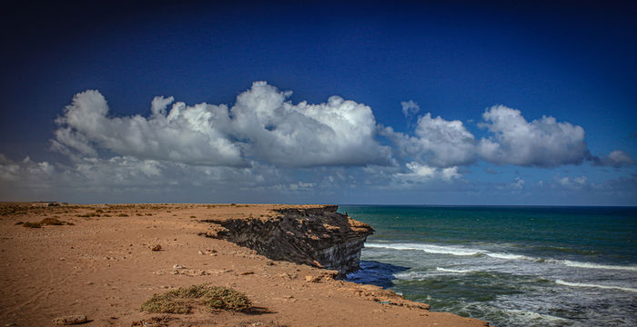 Sahara