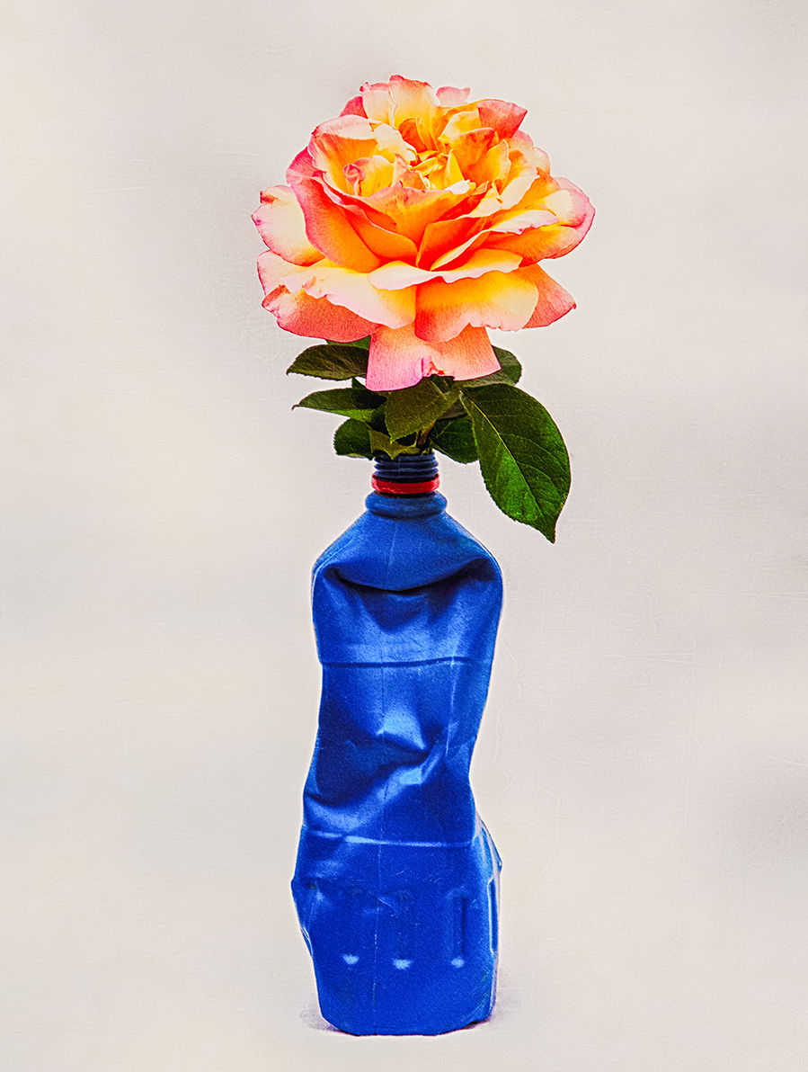 Flowers & plastic 3 by Yulia Kapustynska