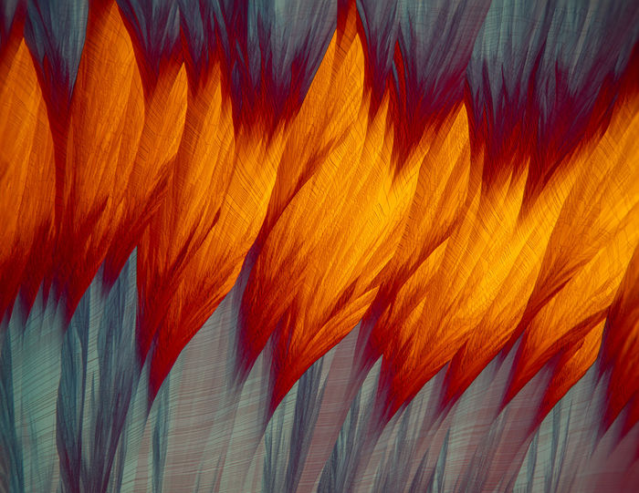 Bevil Templeton-Smith (United Kingdom) - FLAMES