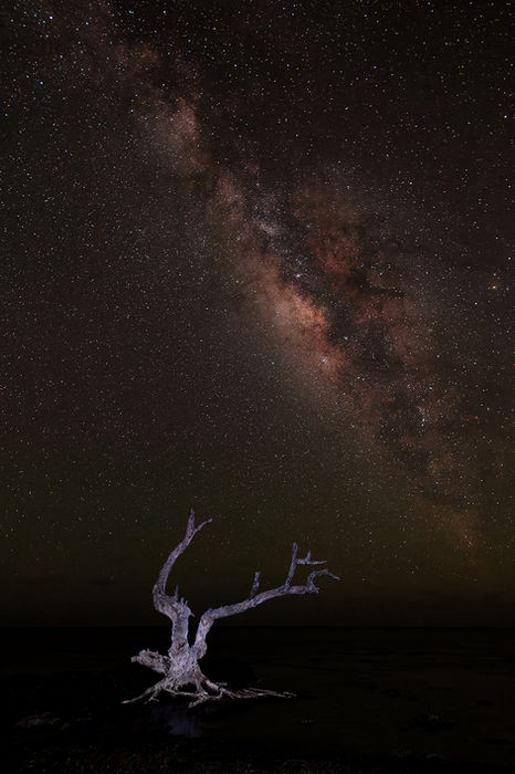 Phoenix SpiritDiva - Milky Way Over Keys