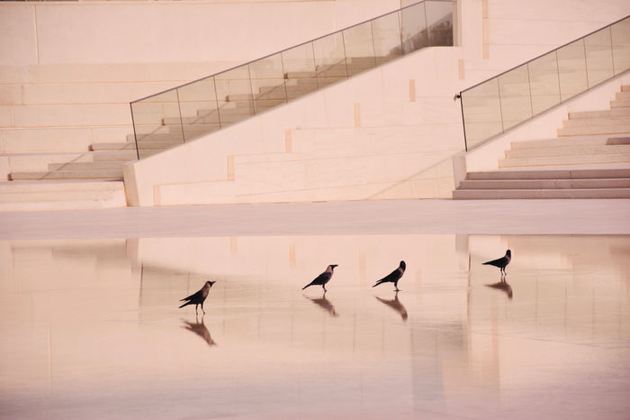 Hao-Long Hsu - Pure life in city pool