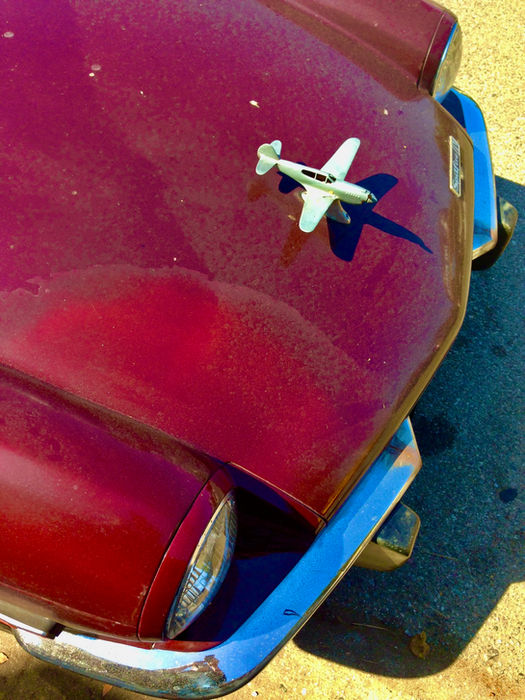 Lynda Gardner - Hood Ornament