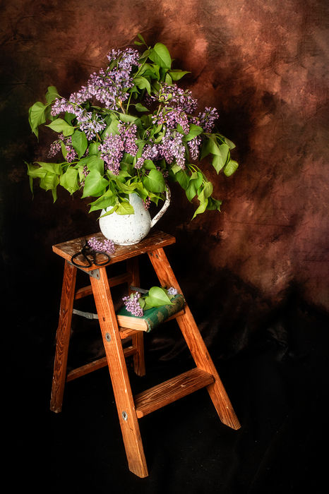 NORMA WARDEN (Auburn, Maine) - LILACS ON LADDER