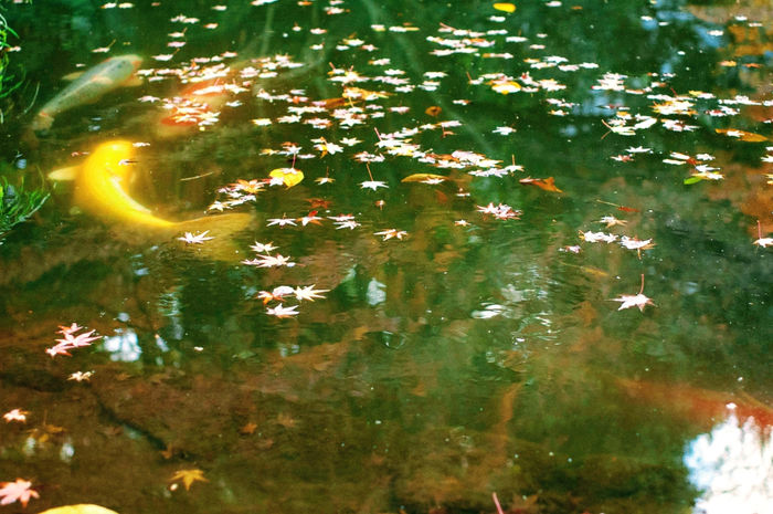Photograph by Atsumi Takemoto, 19 of 20